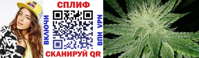 Купить COCAIN  Галлюциногенные грибы  Меф мяу мяу  Никольское