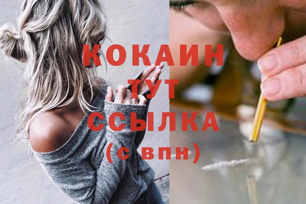 скорость Каменка