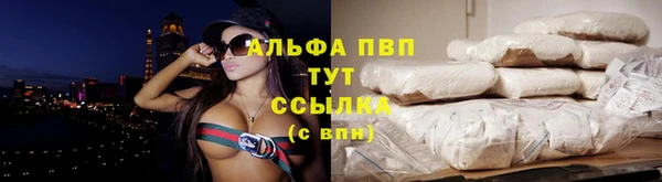 скорость Каменка