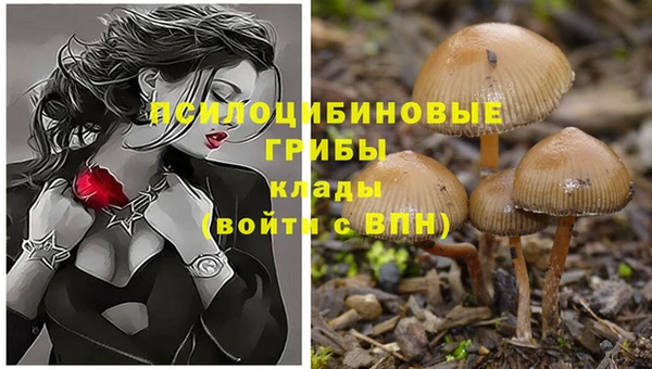 скорость Каменка