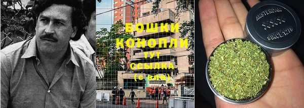 скорость Каменка