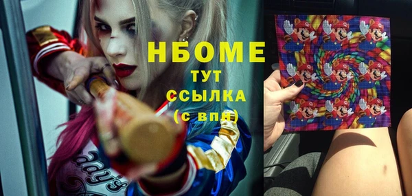 скорость Каменка