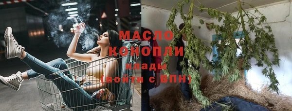 скорость Каменка