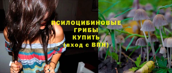 ешки Каменногорск