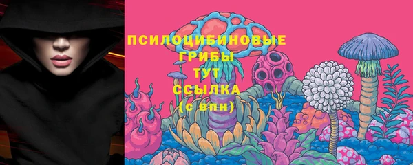 ешки Каменногорск