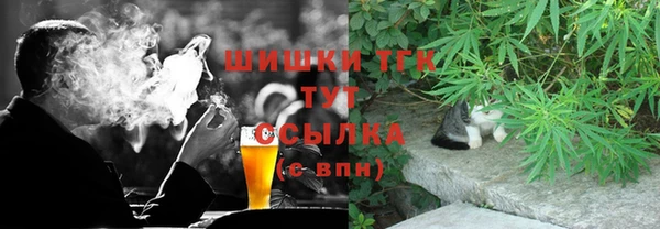 скорость Каменка